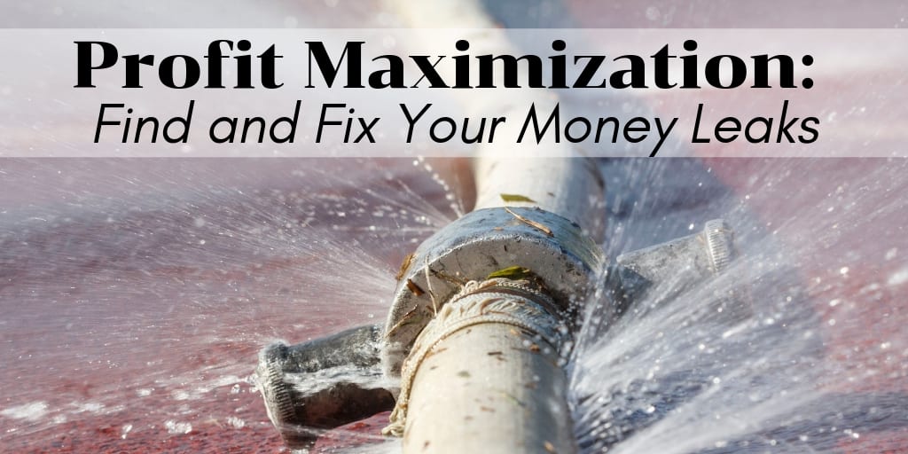 Profit Maximization - Find and Fix Your Money Leaks