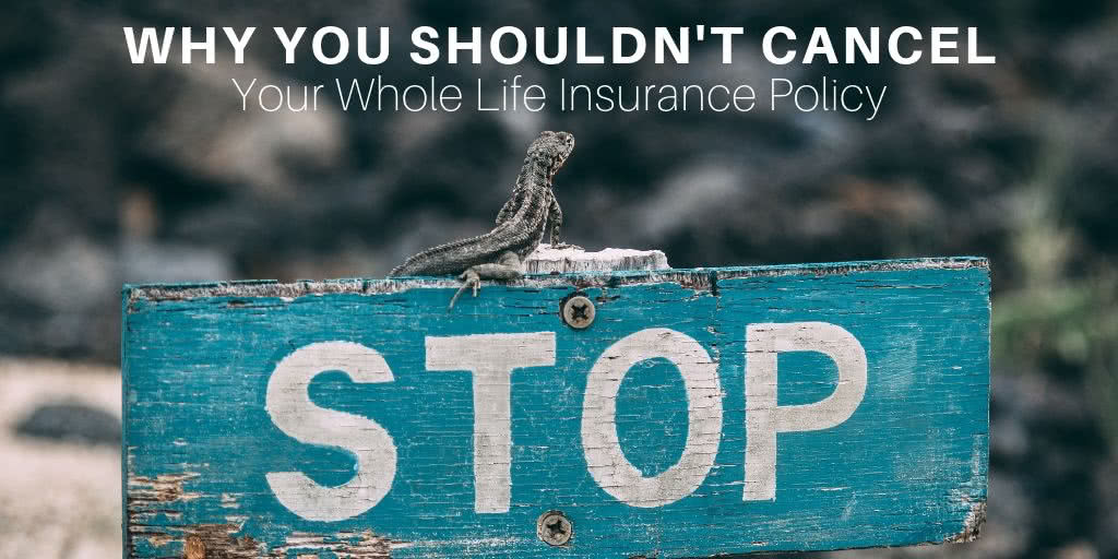 Before Canceling Your Whole Life Insurance Read Why You Shouldn't Cancel Your Whole Life Insurance