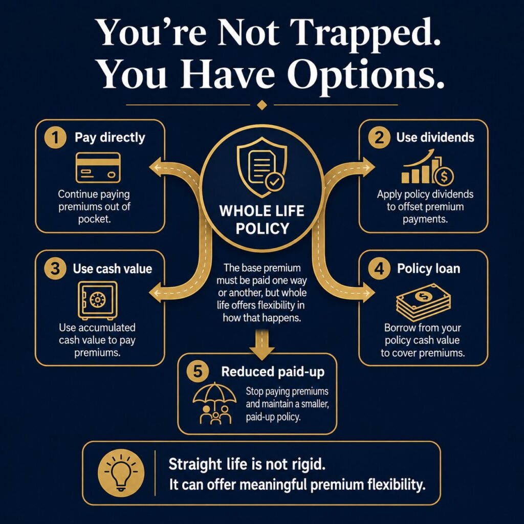 Whole life policy options